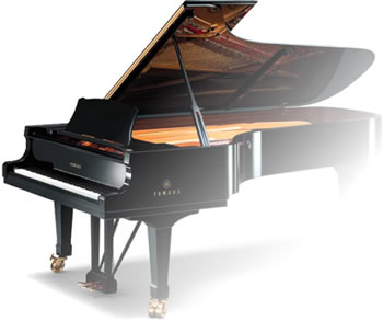 �s�A�m���b�X��